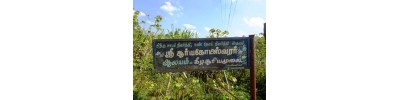 கீழ சூரியமூலை